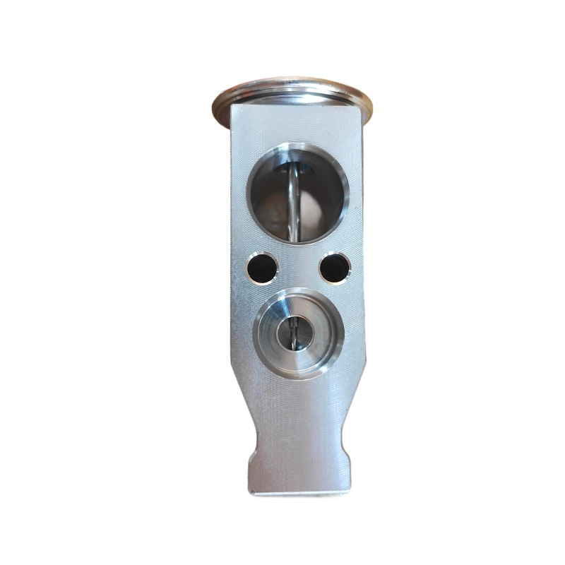 8106000A-P00 AC Expansion Valve kanggo GWM Wingle Haval H3 H5 H6
